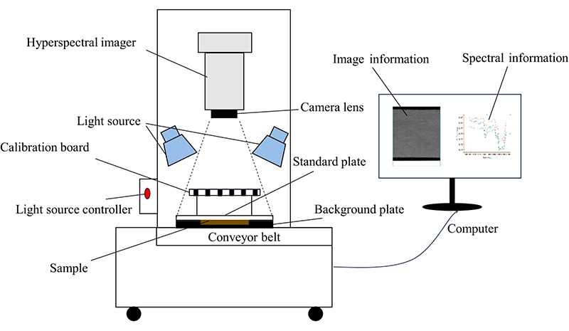 高光譜成像結(jié)合BP神經(jīng)網(wǎng)絡(luò)的聚酯織物水分含量檢測(cè)